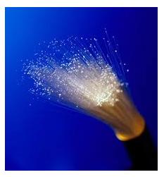 fiber